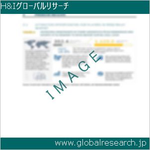 グローバルリサーチ調査レポートのイメージ